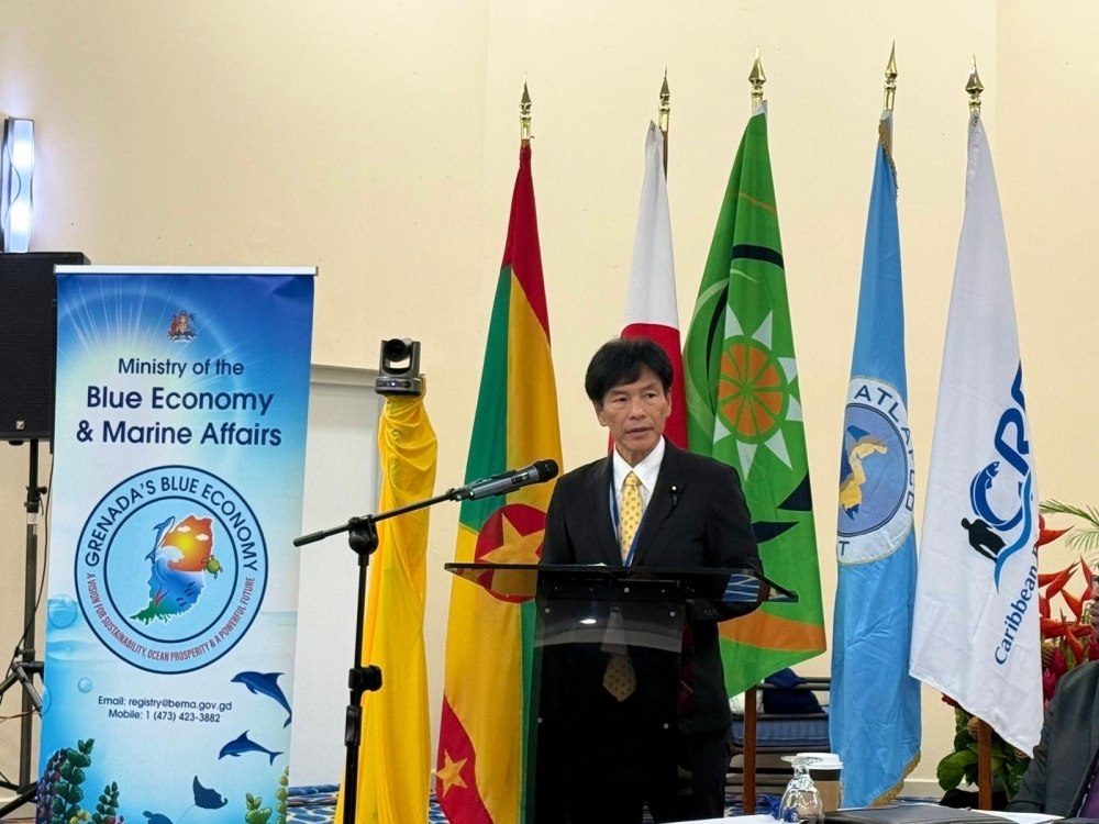 Opening remarks by Parliamentary Vice-Minister Shimada