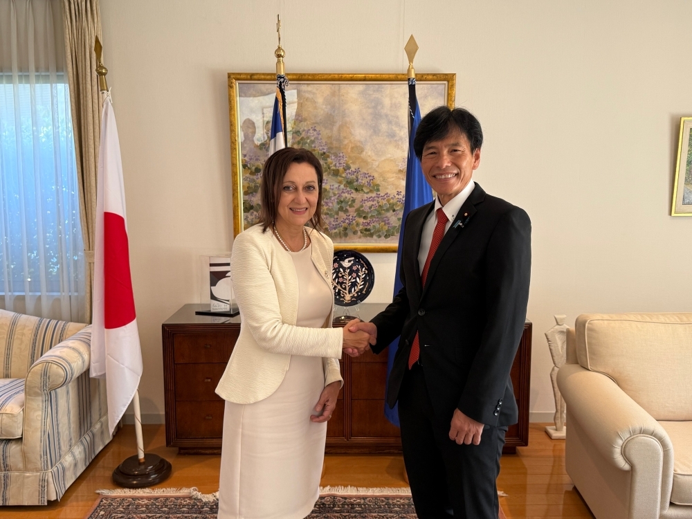 Parliamentary Vice-Minister SHIMADA shaking hands with Ambassador Kliamaki in front of the national flags of both countries