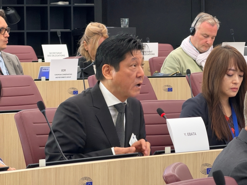 Japanese representative explaining Japan's response