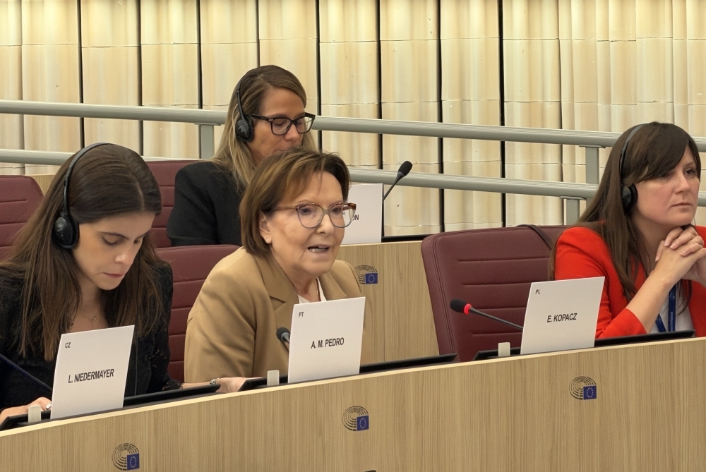 Ms. Ewa Kopacz, Vice-President of the Parliament serving as Coordinator for Children's Rights, making a statement