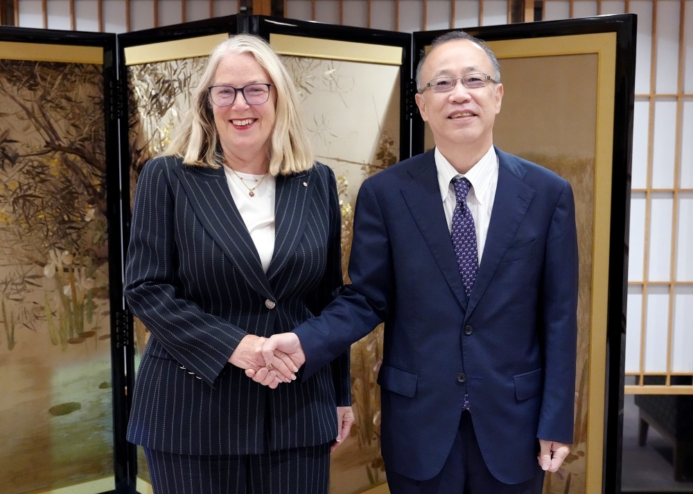 The two Vice-Ministers shaking hands