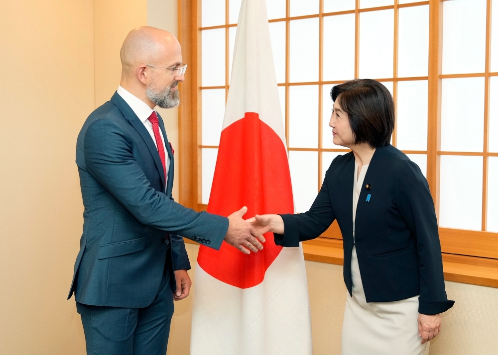 Parliamentary Vice-Minister Ikuina shaking hands with State Secretary Karasevych