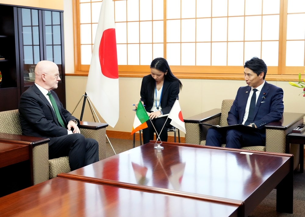 State Minister for Foreign Affairs NAKASONE exchanging views with H.E. Mr. Noel WHITE, Ambassador-Designate of Ireland to Japan