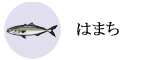 はまち