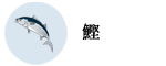 鰹