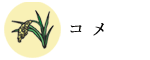 コメ