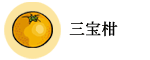 三宝柑