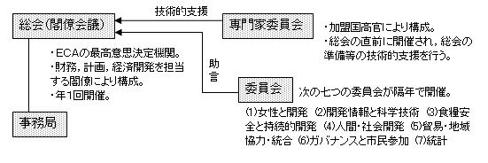 （写真）ECA組織図