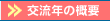交流年の概要
