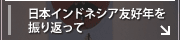 日本インドネシア友好年を振り返って