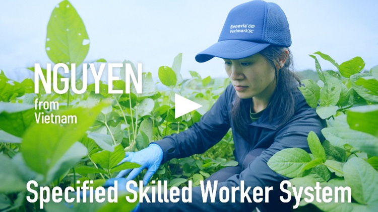 Play movie in a new window:Manufacture of Food and Beverages