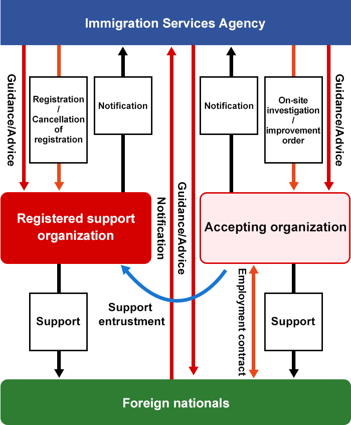 The relationship between Immigration Services Agency, registered support organizations, accepting organizations, and foreign nationals is as follows.
					Accepting organizations conclude an employment contract with foreign nationals and support them. Also, accepting organizations could delegate foreign nationals support to registered support organization.
					Immigration Services Agency register or cancel the registration of registered support organization.
					Immigration Services Agency issue on-site investigation/improvement order to the accepting organization.