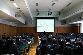 写真1