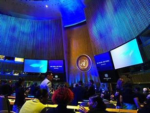 (写真2)持続可能な開発目標(SDG)14実施支援国連会議