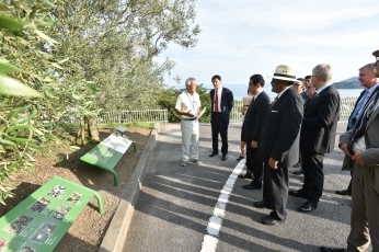 写真16：道の駅小豆島オリーブ公園を訪問した岸田大臣