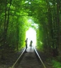 （写真8）近年SNSで人気の「愛のトンネル」