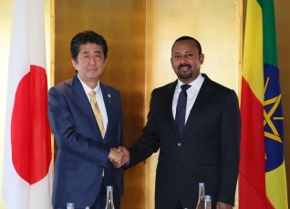 (写真)日・エチオピア首脳会談 (写真提供:内閣広報室)
