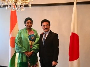 佐藤外務副大臣とラミド・ウセイニ外務・協力・アフリカ統合・在外ニジェール人省アフリカ統合・在外ニジェール人担当副大臣との会談1