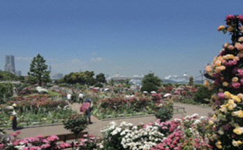 27年3月 9月 横浜で国際園芸博覧会が開催されます 横浜市 外務省 27年3月 9月 横浜で国際園芸博覧会が開催されます 横浜市 外務省
