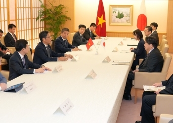 林外務大臣が、アイン・ベトナム共産党中央経済委員長と会談する様子