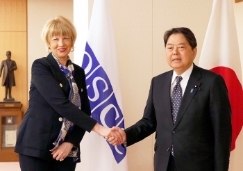 表敬を前に、シュミットOSCE事務総長と握手する林外務大臣