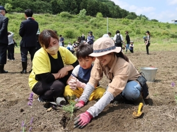 苗の定植を行う市民
