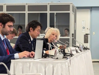 インタラクティブ・ダイアローグに出席し、発言を行う穂坂外務大臣政務官