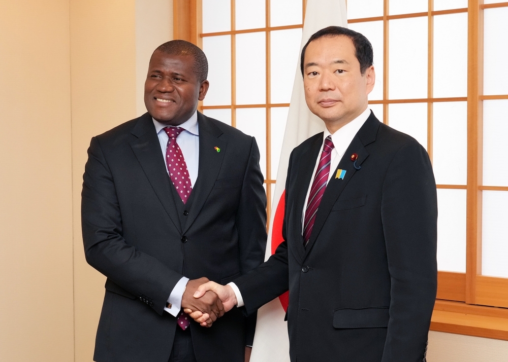 握手をする藤井外務副大臣とナベ・ギニア計画・国際協力大臣