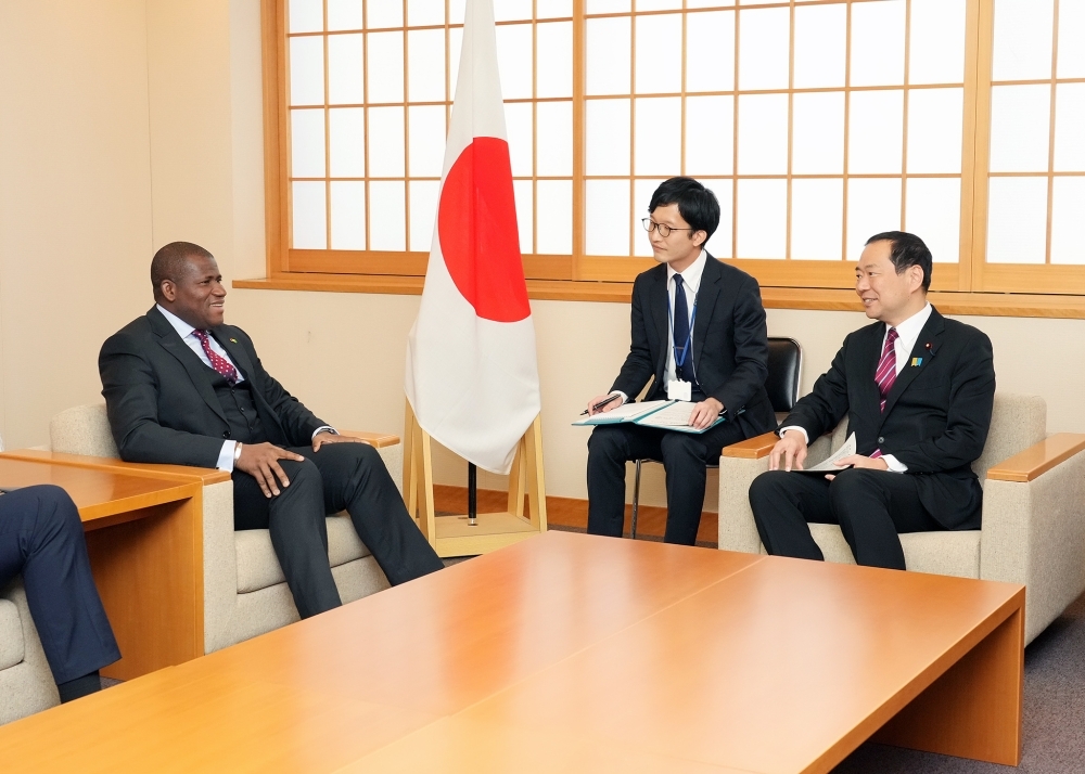 藤井外務副大臣とナベ・ギニア計画・国際協力大臣の会談の様子