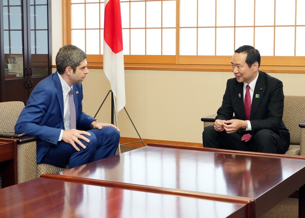 レジャバ大使からの表敬を受ける藤井副大臣の様子