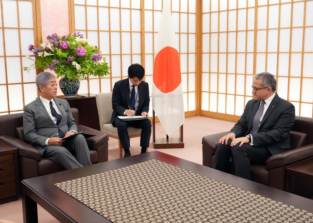 会談する岩屋外務大臣とエルアナーニー元エジプト・アラブ共和国観光・考古大臣
