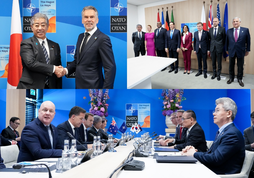 オランダを訪問しオランダ首相と懇談したり、G7外相会合に出席する岩屋外務大臣