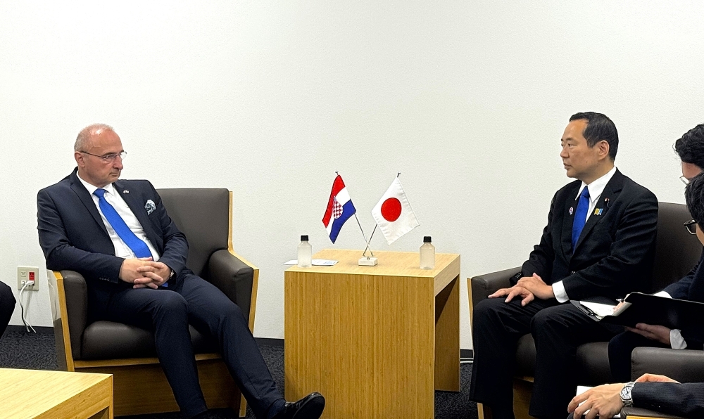 藤井副大臣とグルリッチ=ラドマン外務・欧州大臣の会談の様子