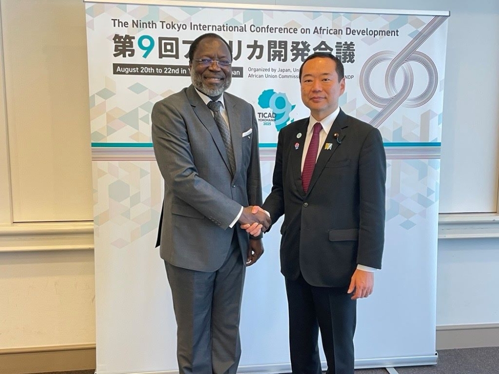 握手をする藤井外務副大臣とトゥーレイECOWAS委員長