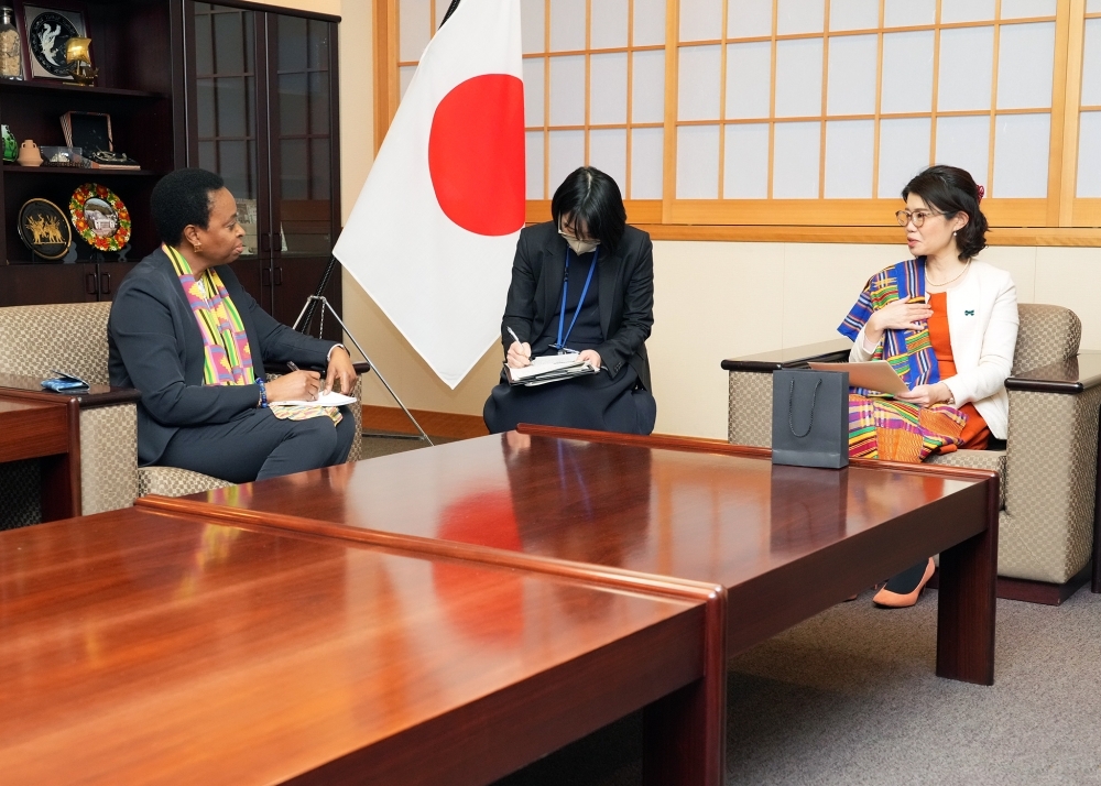 意見交換をする国光外務副大臣とアパルゥ駐日ガーナ大使