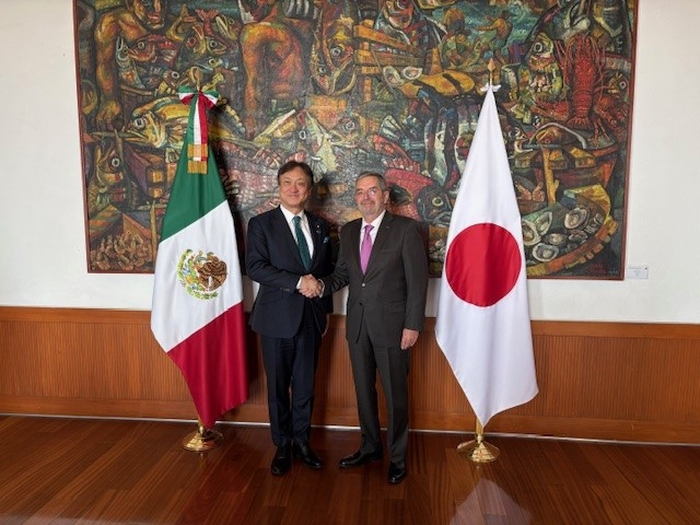 握手をする堀井副大臣とデ・ラ・フエンテ外務大臣