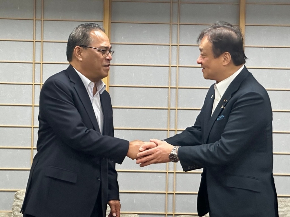 握手をする堀井外務副大臣とシミナ大統領