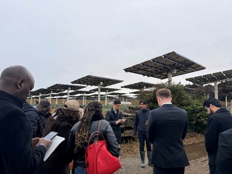 苺栽培施設の隣接地において追尾式太陽光発電が設置されている様子