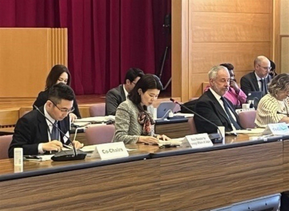 「気候変動に対する更なる行動」に関する非公式会合に出席する国光外務副大臣