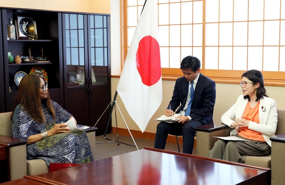 国光外務副大臣とエザコンワUNDP総裁補兼アフリカ局長との意見交換する様子