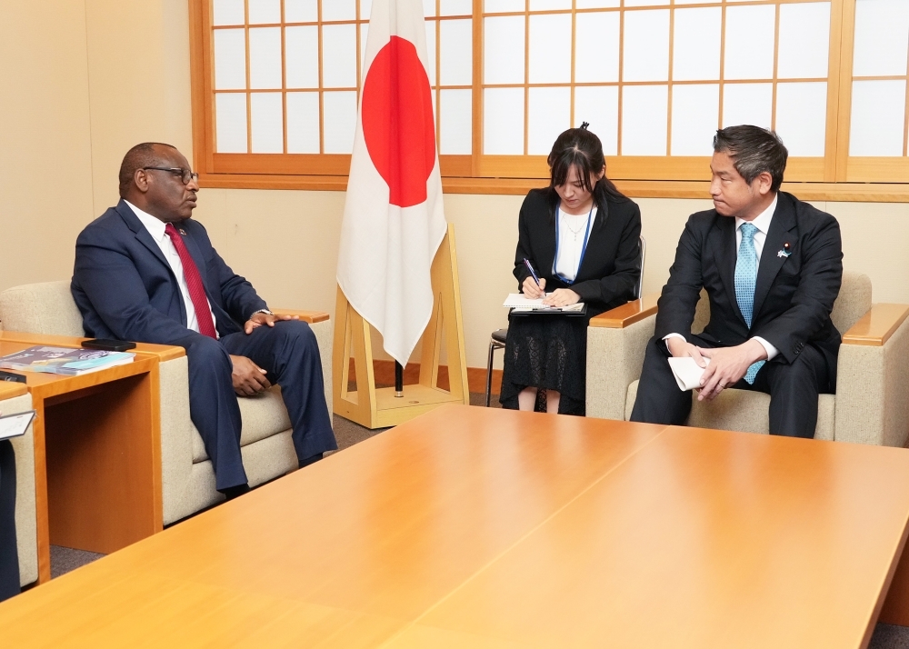 意見交換をする大西外務大臣政務官とガテテ国連アフリカ経済委員会事務局長