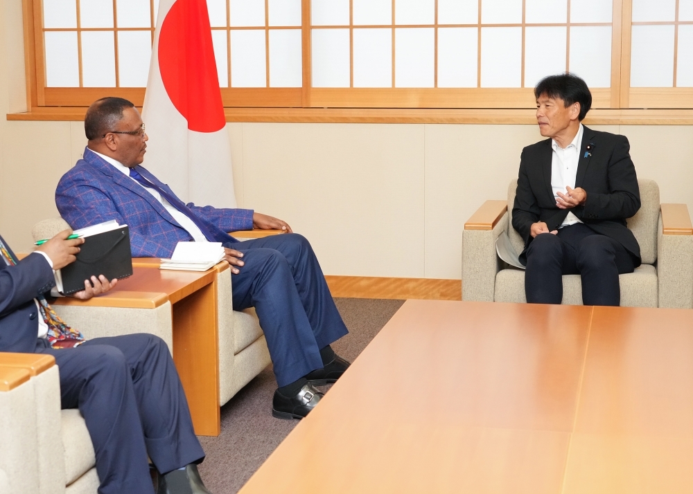 意見交換をする島田外務大臣政務官とダバ駐日エチオピア大使