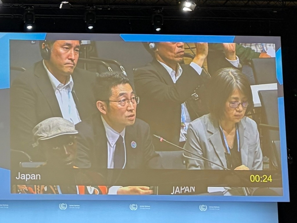 モニターに映る発言中の中村地球規模課題審議官