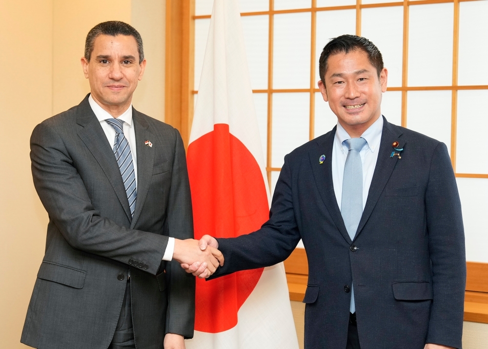 握手をする大西外務大臣政務官とエルエトレビ駐日エジプト大使