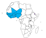 （地図）ECOWAS（西アフリカ諸国経済共同体）15か国加盟