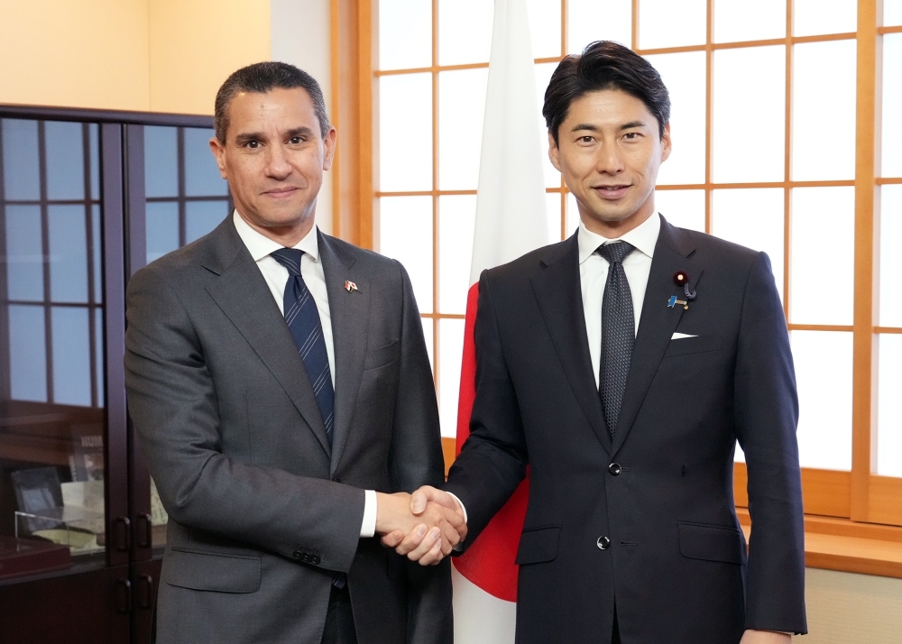 握手をする中曽根外務副大臣とエルエトレビ駐日エジプト大使