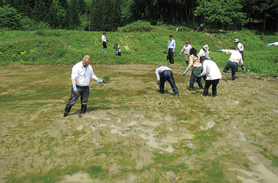 地方視察ツアー:北五百川の棚田における田植え体験(5月15日~16日、新潟県燕三条地域)