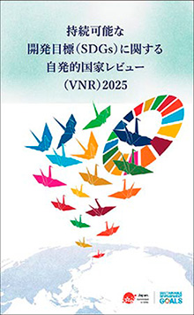SDGsに関するVNR報告書