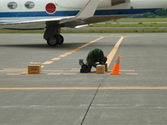 （写真）