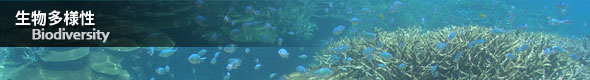 生物多様性